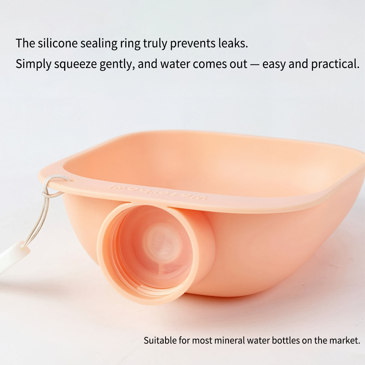 Pet Water Dispenser with Leash Attachment