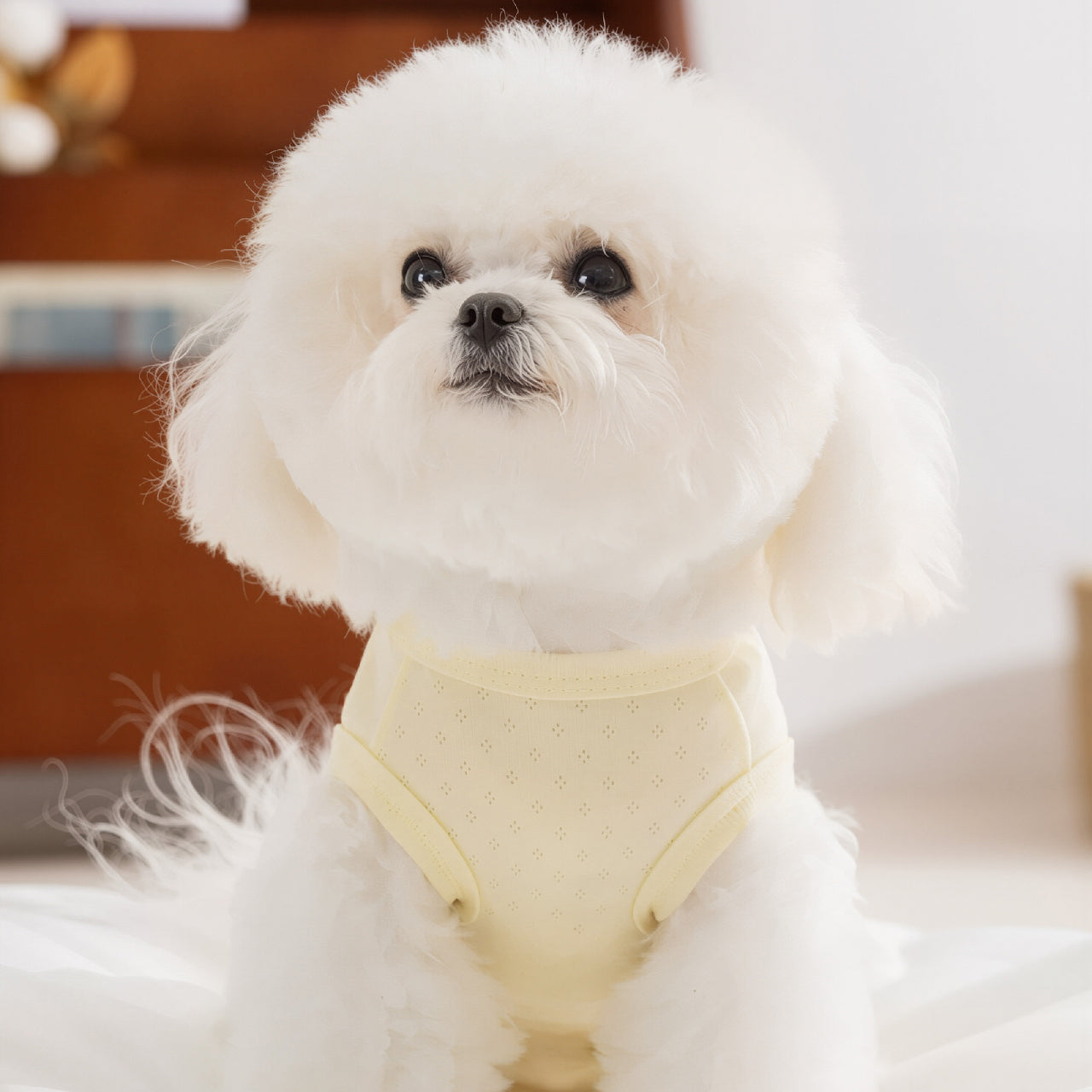 The Waffle Cotton Recovery Pet Onesie
