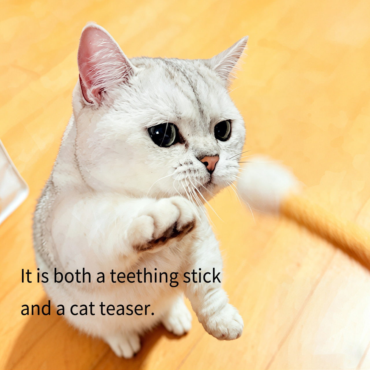 Cotton-Swab Shaped Pet Teaser Wand