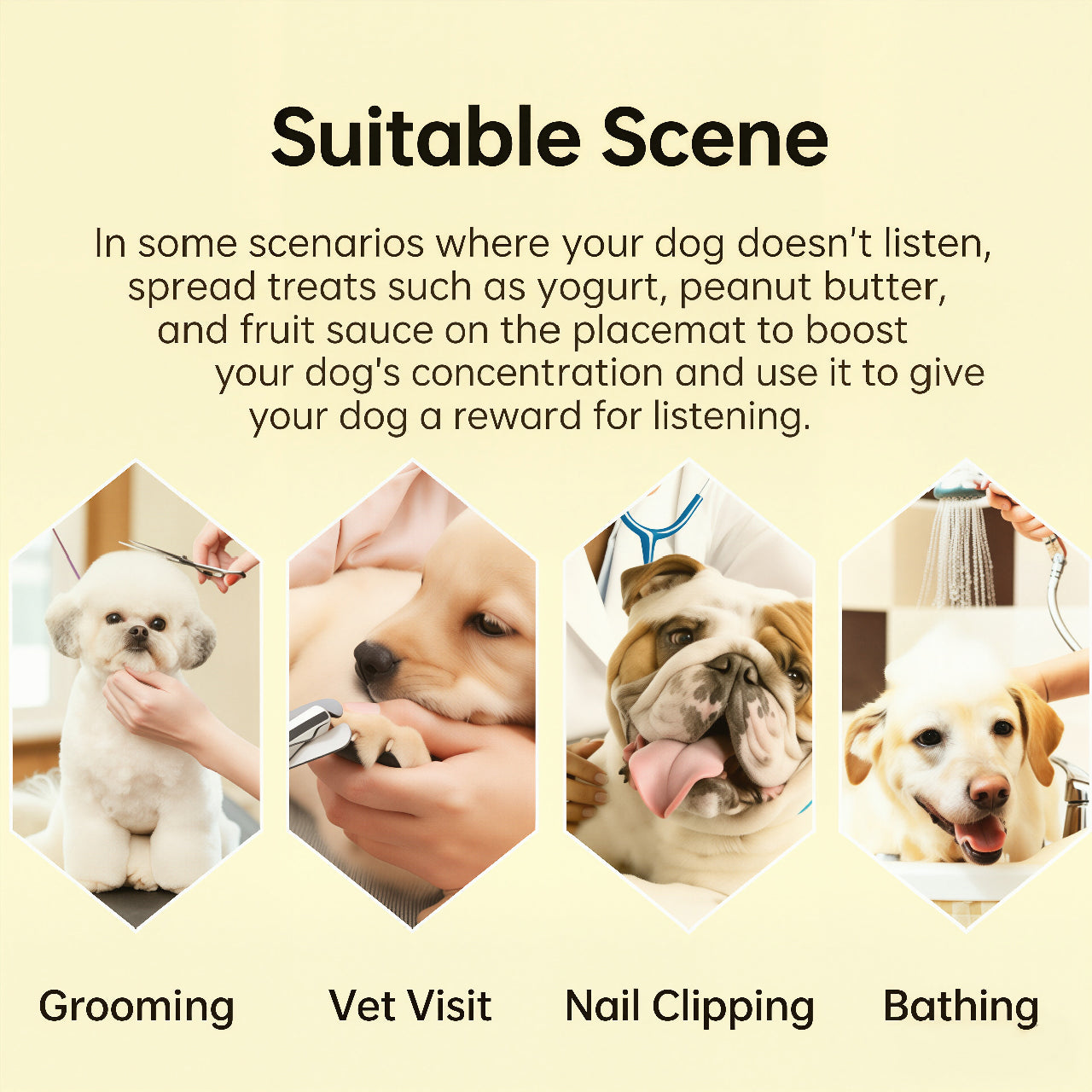 Multi-Zone Silicone Pet Lick Mat
