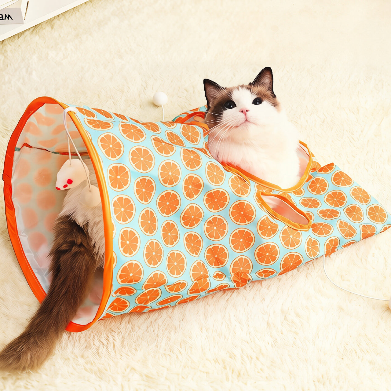 Foldable Semi-Closed Cat Cave with Hanging Ball
