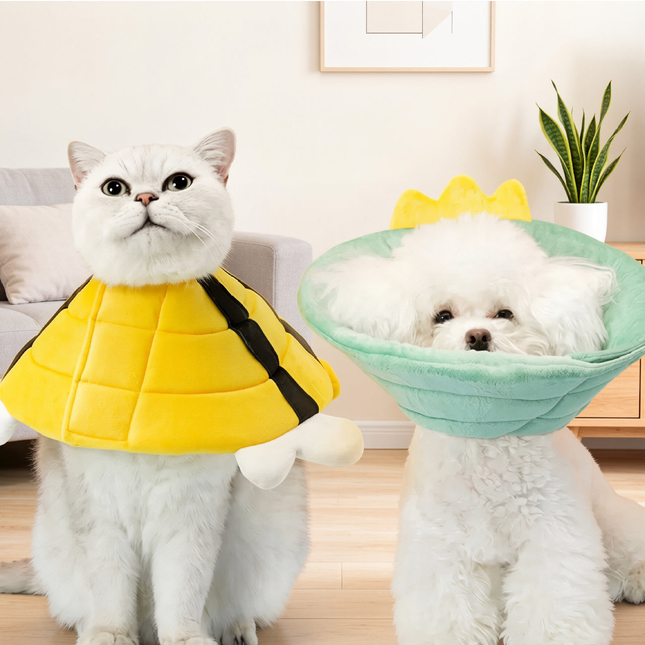 Cute Pet Recovery Collar