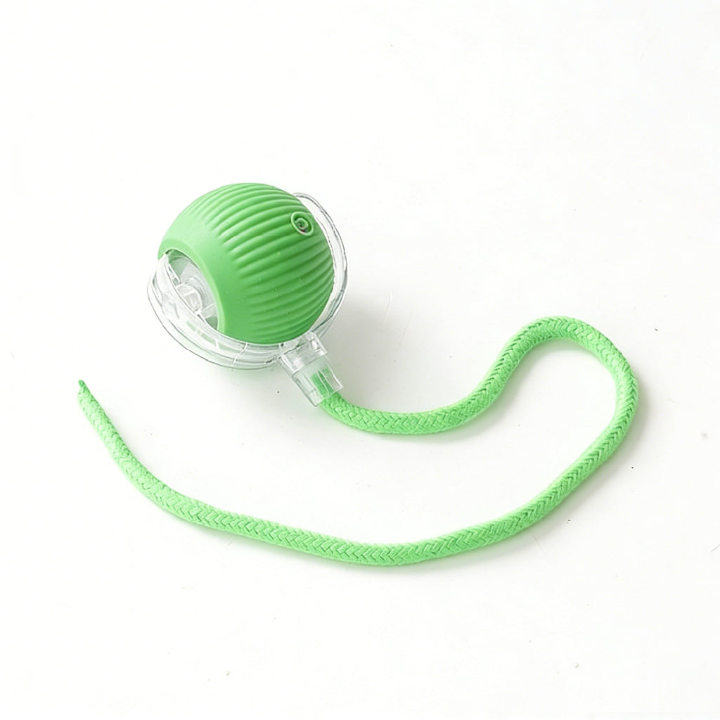 Smart Rolling Pet Ball