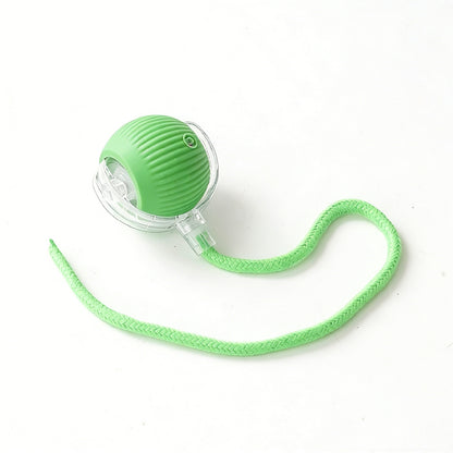 Smart Rolling Pet Ball
