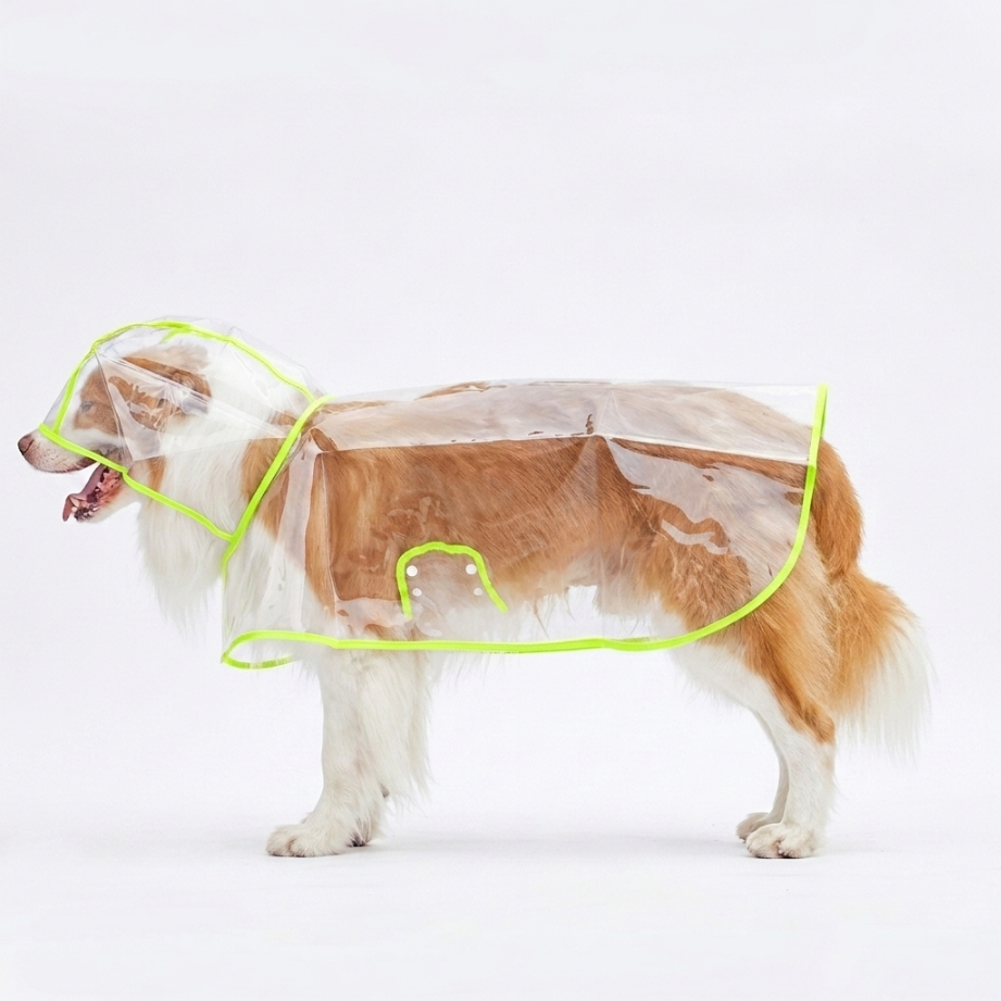 Transparent Edged Pet Raincoat, Must-Have for Dog Walking