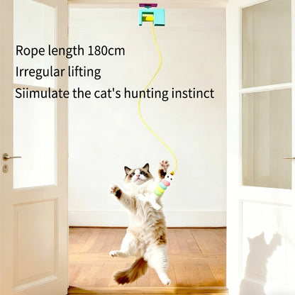 Self-Swing Pet Yo-Yo