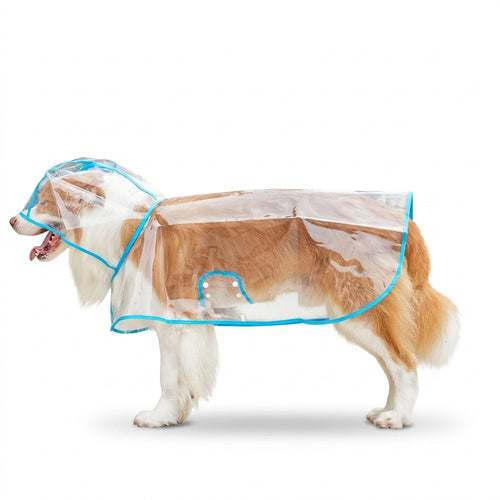 Transparent Edged Pet Raincoat, Must-Have for Dog Walking