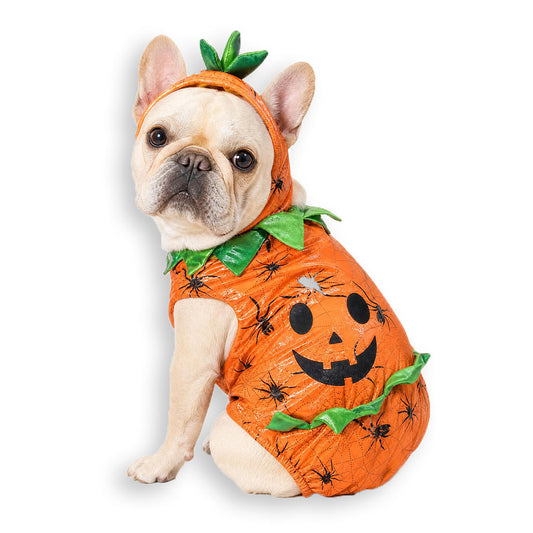 Cute Halloween Pumpkin Dog Costume