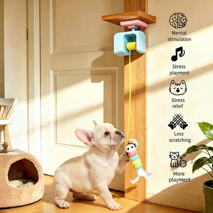 Self-Swing Pet Yo-Yo