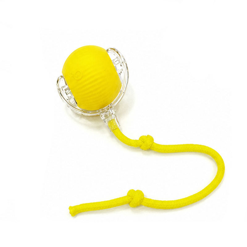 Motion Activated Smart Rolling Ball
