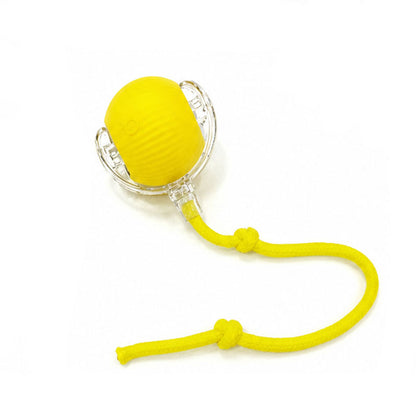 Motion Activated Smart Rolling Ball