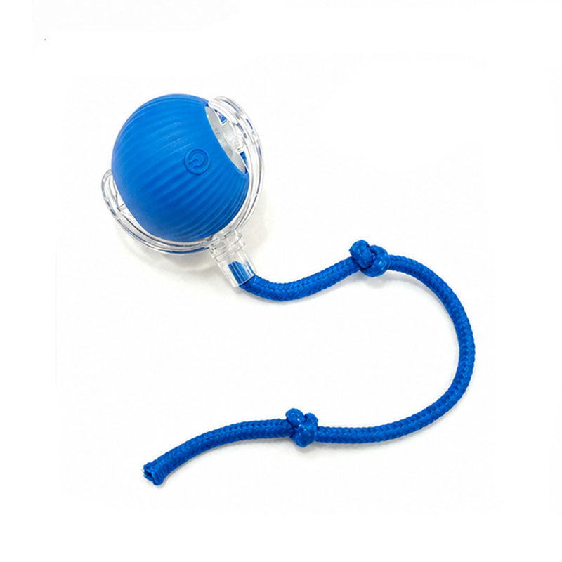 Motion Activated Smart Rolling Ball