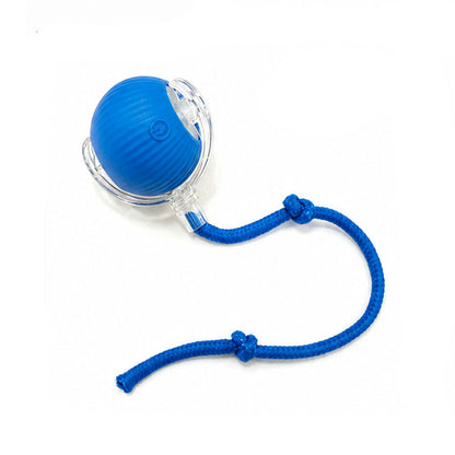 Motion Activated Smart Rolling Ball