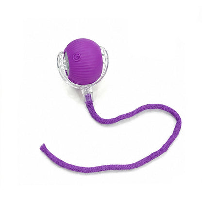 Motion Activated Smart Rolling Ball