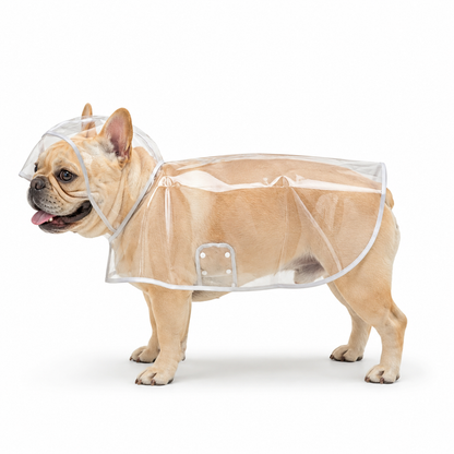 Transparent Edged Pet Raincoat
