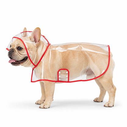 Transparent Edged Pet Raincoat