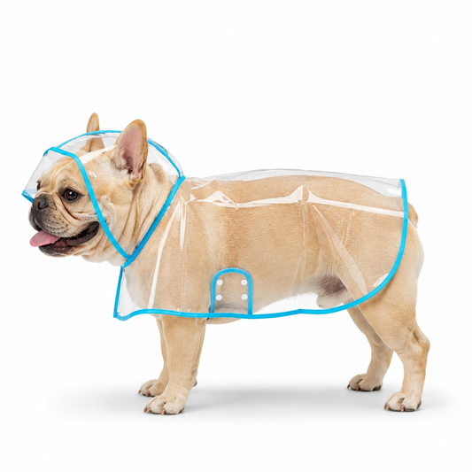 Transparent Edged Pet Raincoat