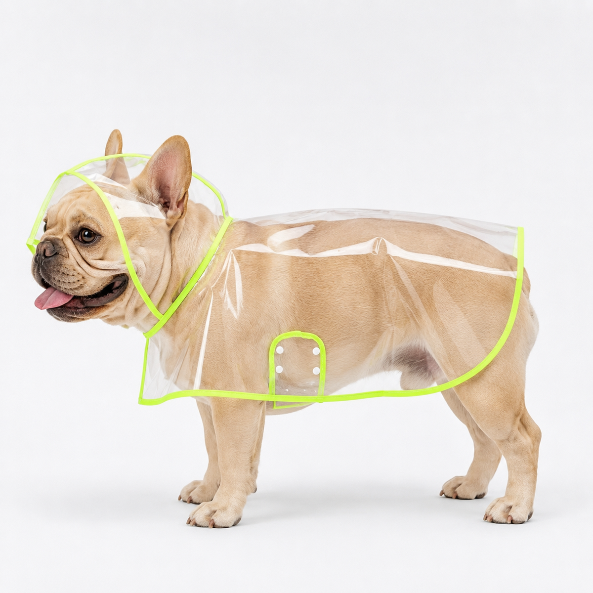 Transparent Edged Pet Raincoat
