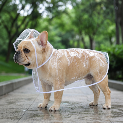 Transparent Edged Pet Raincoat