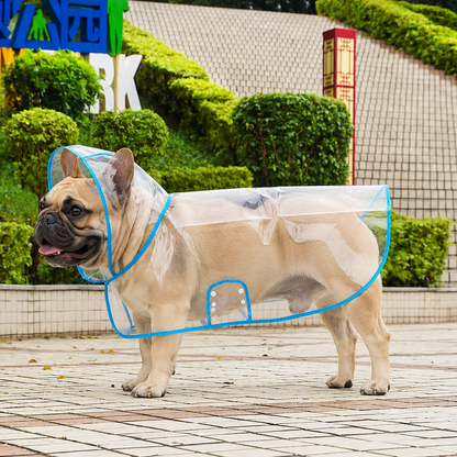Transparent Edged Pet Raincoat