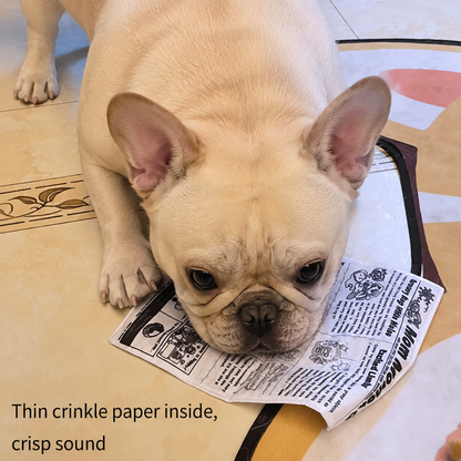 Funny Newspaper & Poker Squeaky Toys