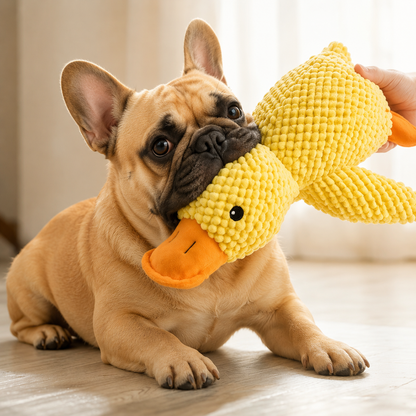 Funny Yellow Duck Squeaky Toy