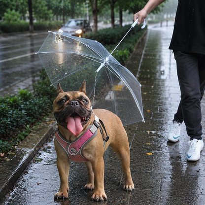 Transparent Dog Umbrella with Leash Hook