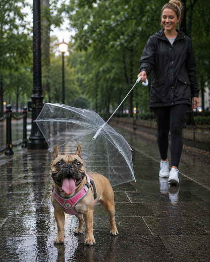 Transparent Dog Umbrella with Leash Hook