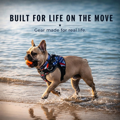 French Bulldog No Pull Harness