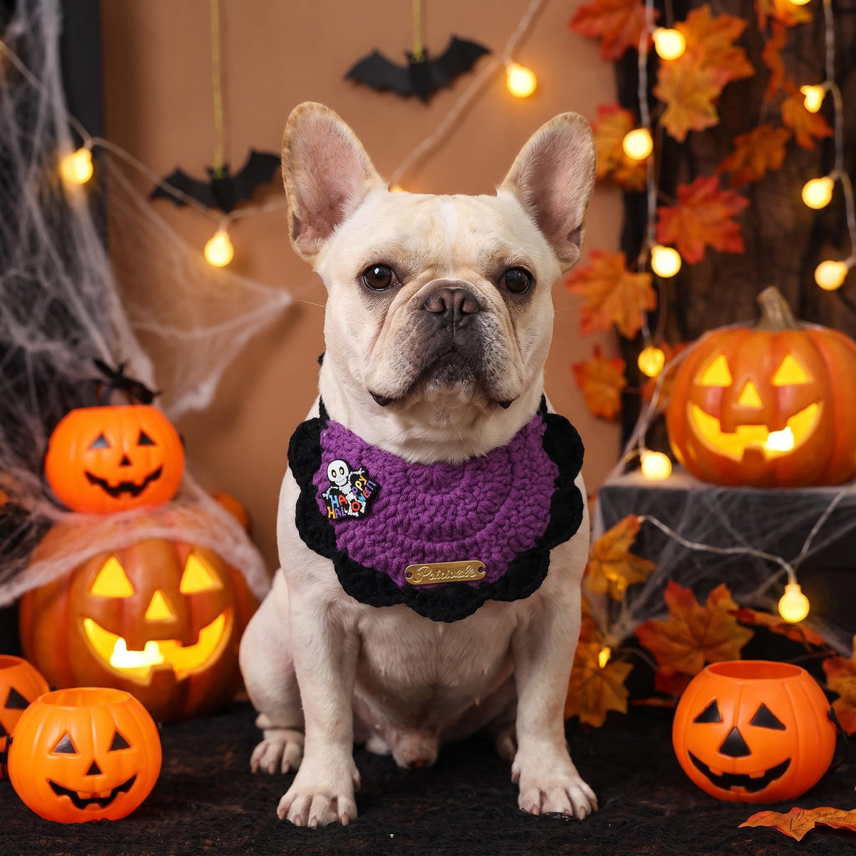 Halloween Hand Knit Pet Bib Collar