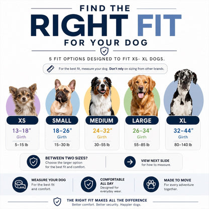 French Bulldog No Pull Harness