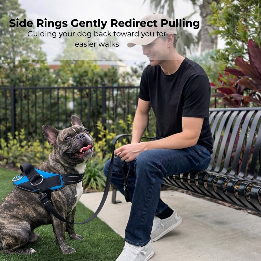 French Bulldog No Pull Harness