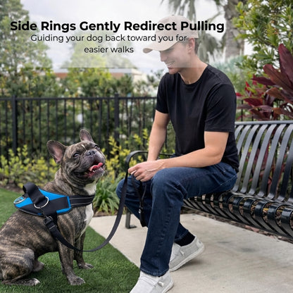 French Bulldog No Pull Harness