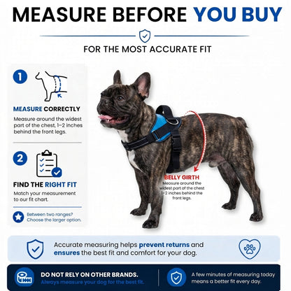 French Bulldog No Pull Harness