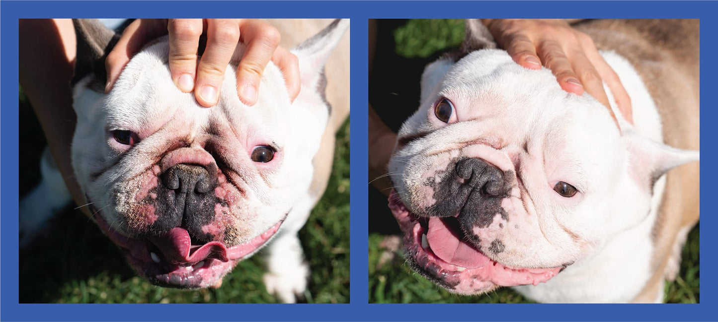 Dog Wrinkle Paste for Bulldogs & French Bulldogs