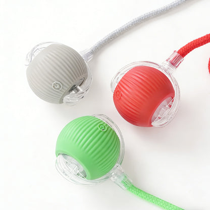 Smart Rolling Pet Ball