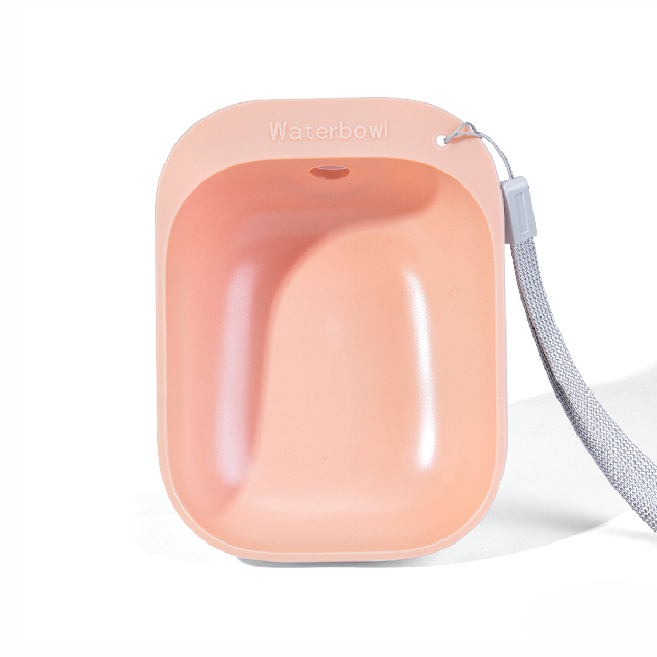 Pet Water Dispenser with Leash Attachment