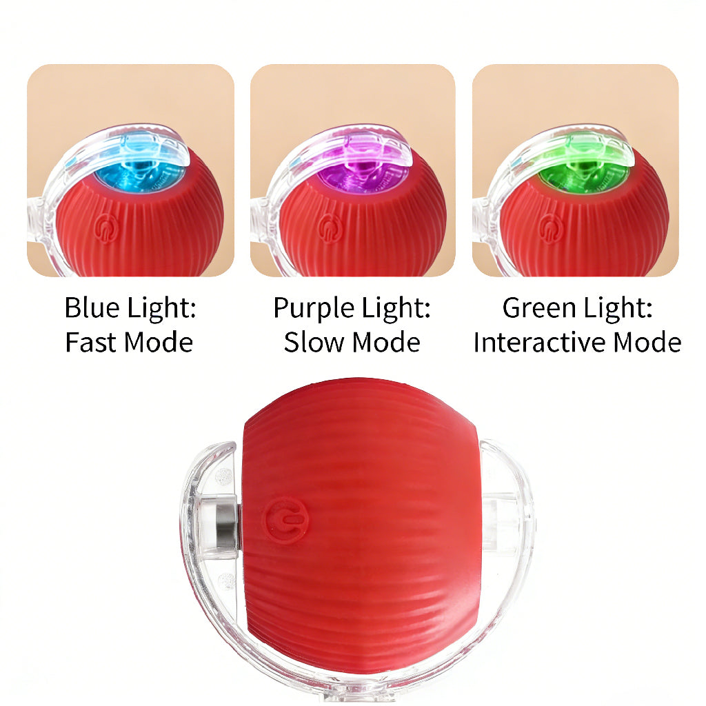 Smart Rolling Pet Ball