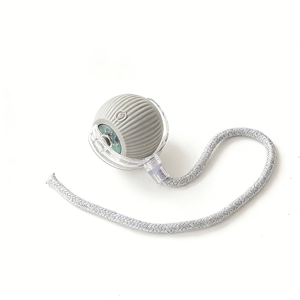 Smart Rolling Pet Ball