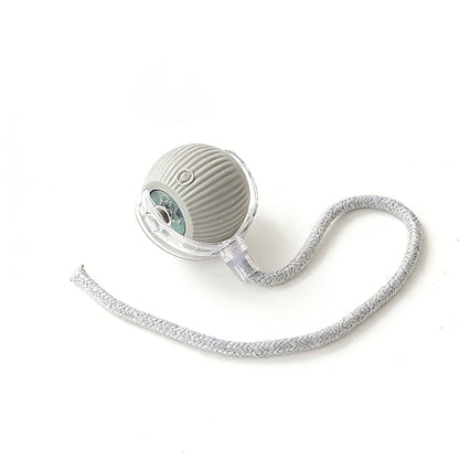 Smart Rolling Pet Ball