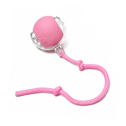 Motion Activated Smart Rolling Ball