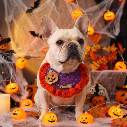 Halloween Hand Knit Pet Bib Collar