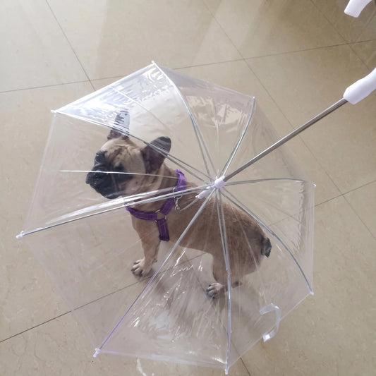 Transparent Dog Umbrella with Leash Hook