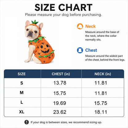 Cute Halloween Pumpkin Dog Costume