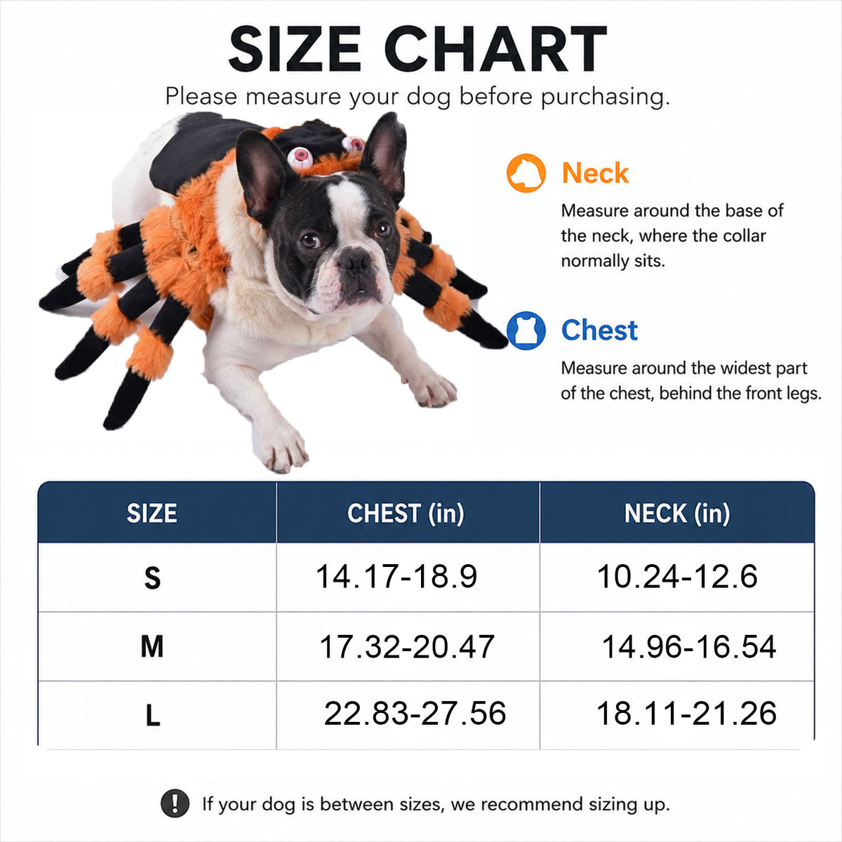 Halloween Dog Spider Costume